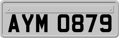 AYM0879