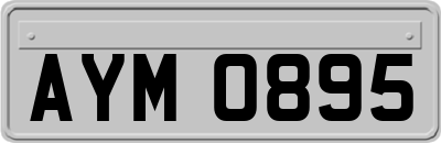 AYM0895