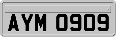 AYM0909