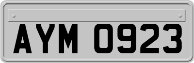 AYM0923