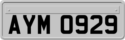 AYM0929