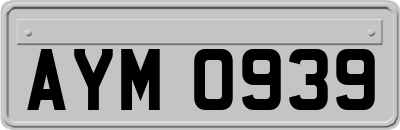 AYM0939
