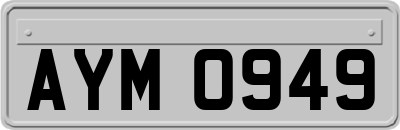 AYM0949