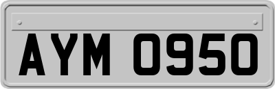 AYM0950