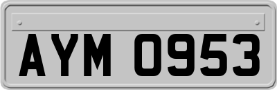 AYM0953