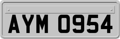 AYM0954