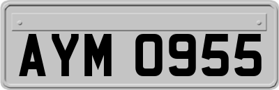 AYM0955