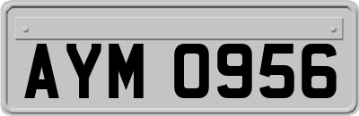 AYM0956
