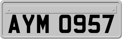 AYM0957