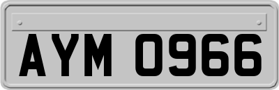 AYM0966