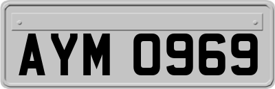 AYM0969