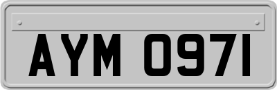 AYM0971