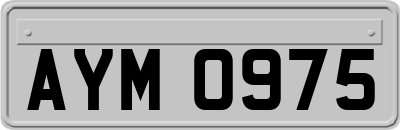 AYM0975