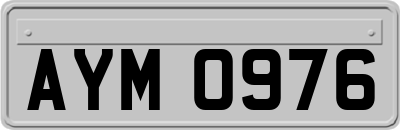 AYM0976