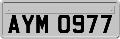 AYM0977