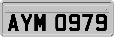 AYM0979