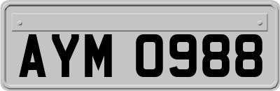 AYM0988