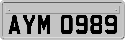 AYM0989