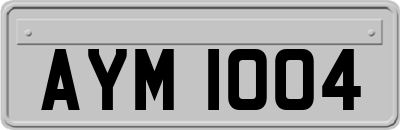 AYM1004