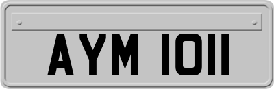 AYM1011