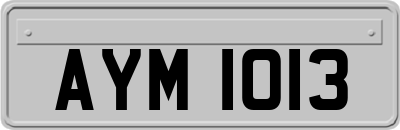 AYM1013