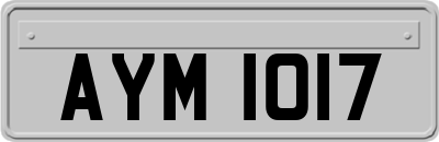 AYM1017
