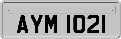 AYM1021
