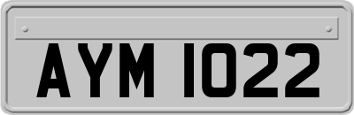 AYM1022