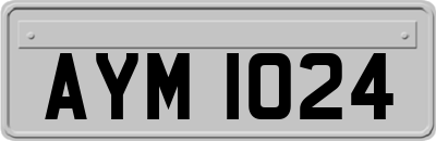 AYM1024