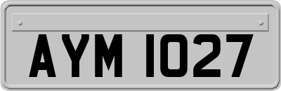 AYM1027