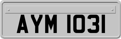 AYM1031