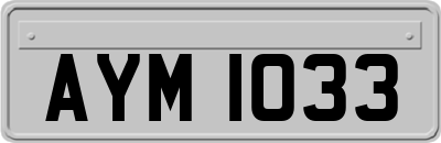 AYM1033
