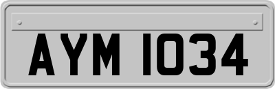 AYM1034