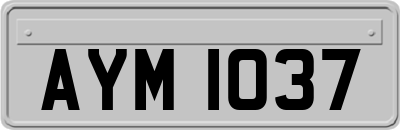 AYM1037