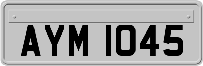 AYM1045
