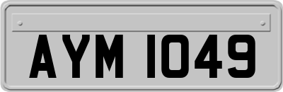 AYM1049