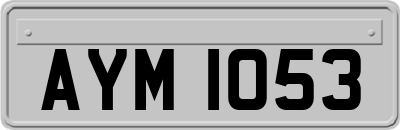 AYM1053