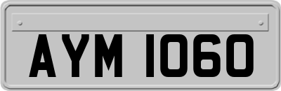 AYM1060