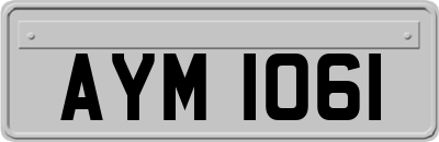AYM1061