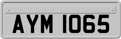 AYM1065