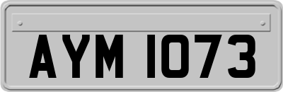AYM1073