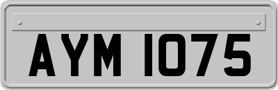 AYM1075