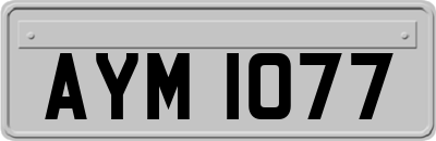 AYM1077
