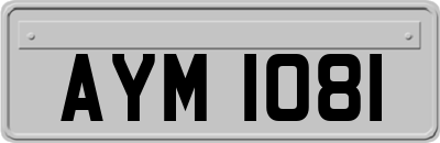 AYM1081