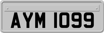 AYM1099