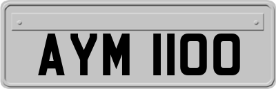 AYM1100