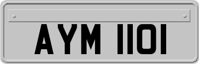 AYM1101