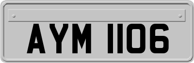 AYM1106