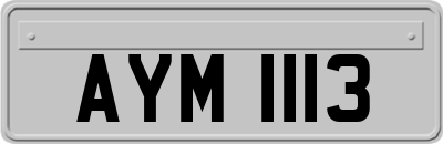 AYM1113