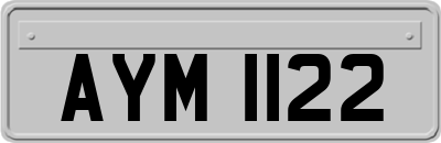 AYM1122